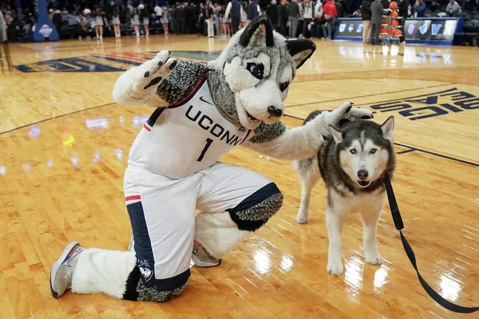 The UConn Huskies community is united in grief following the sudden passing of a beloved mascot performer after a tragic accident