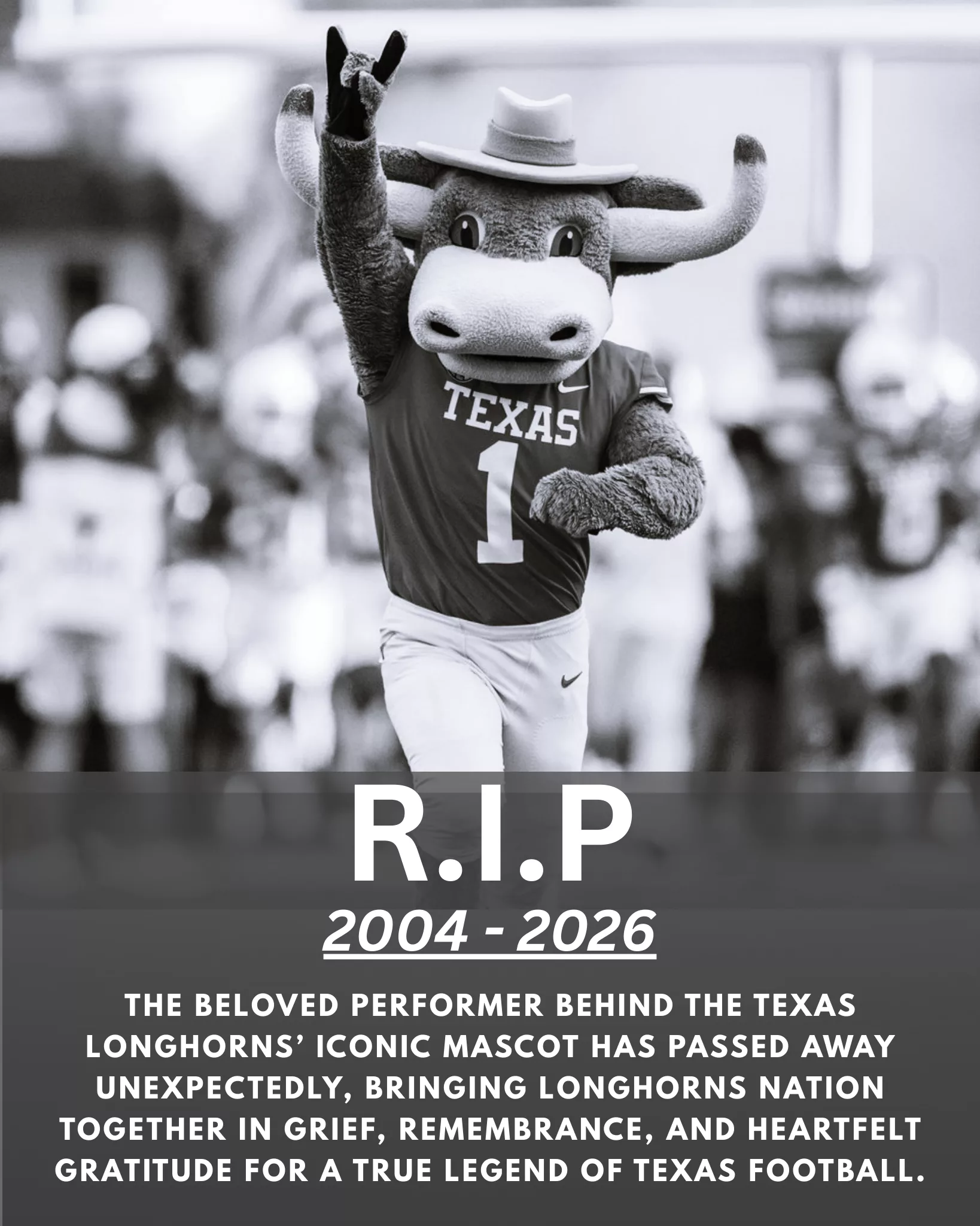 The Texas Longhorns organization is saddened by the sudden death of the performer behind the team’s beloved mascot following an accident. Fans and the entire country are coming together to honor the memory of the dedicated performer who brought energy and joy to Darrell K Royal–Texas Memorial Stadium.
