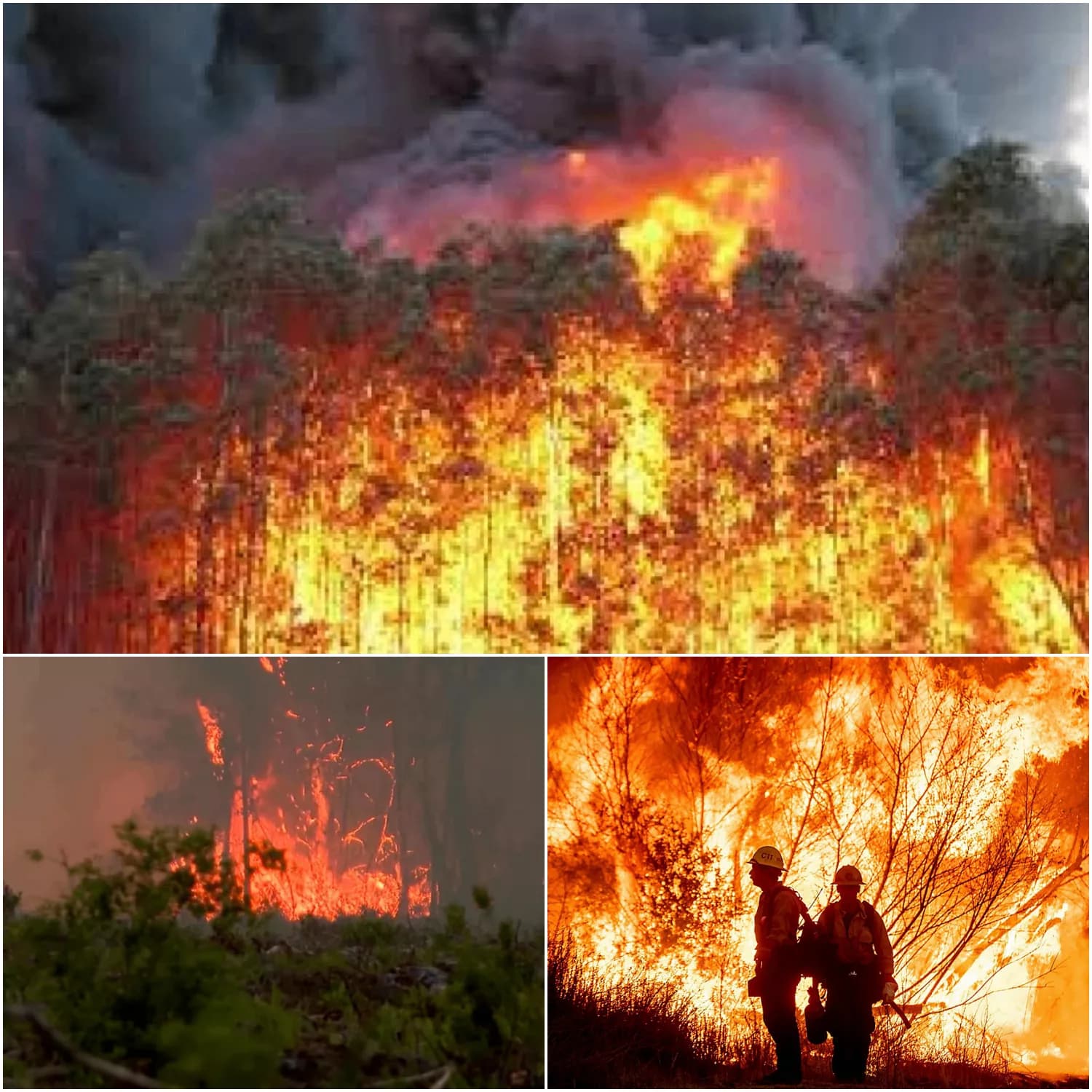 CRITICAL ALERT: Michigan is under siege tonight as a massive wildfire rages out of control, defying all containment efforts. Authorities have issued a MANDATORY EVACUATION for multiple areas—this is no longer a warning; it is a desperate race against time.